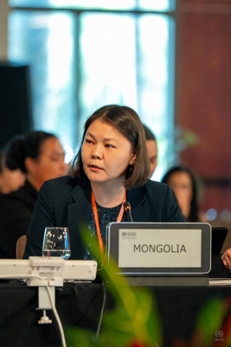 ДЭЛХИЙН ЭРҮҮЛ МЭНДИЙН БАЙГУУЛЛАГЫН НОМХОН ДАЛАЙН БАРУУН БҮСИЙН ХОРООНЫ 76 ДУГААР ЧУУЛГАН БОЛЖ БАЙНА